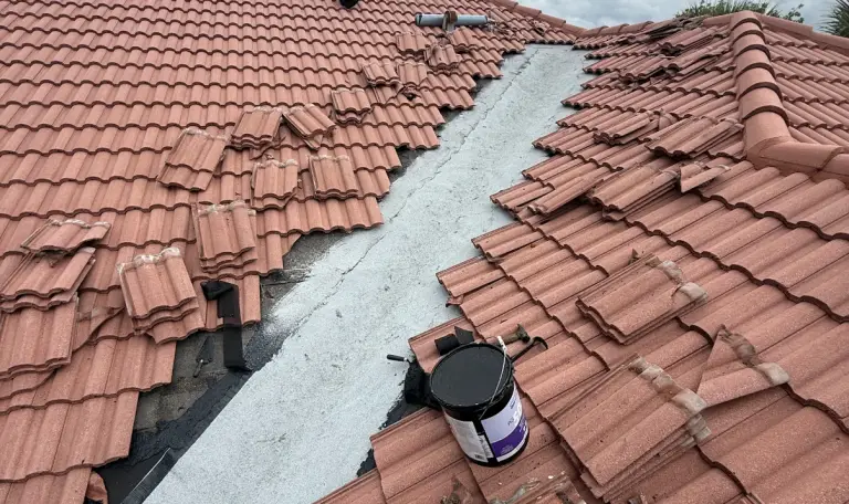 Palm Beach Roof Repair