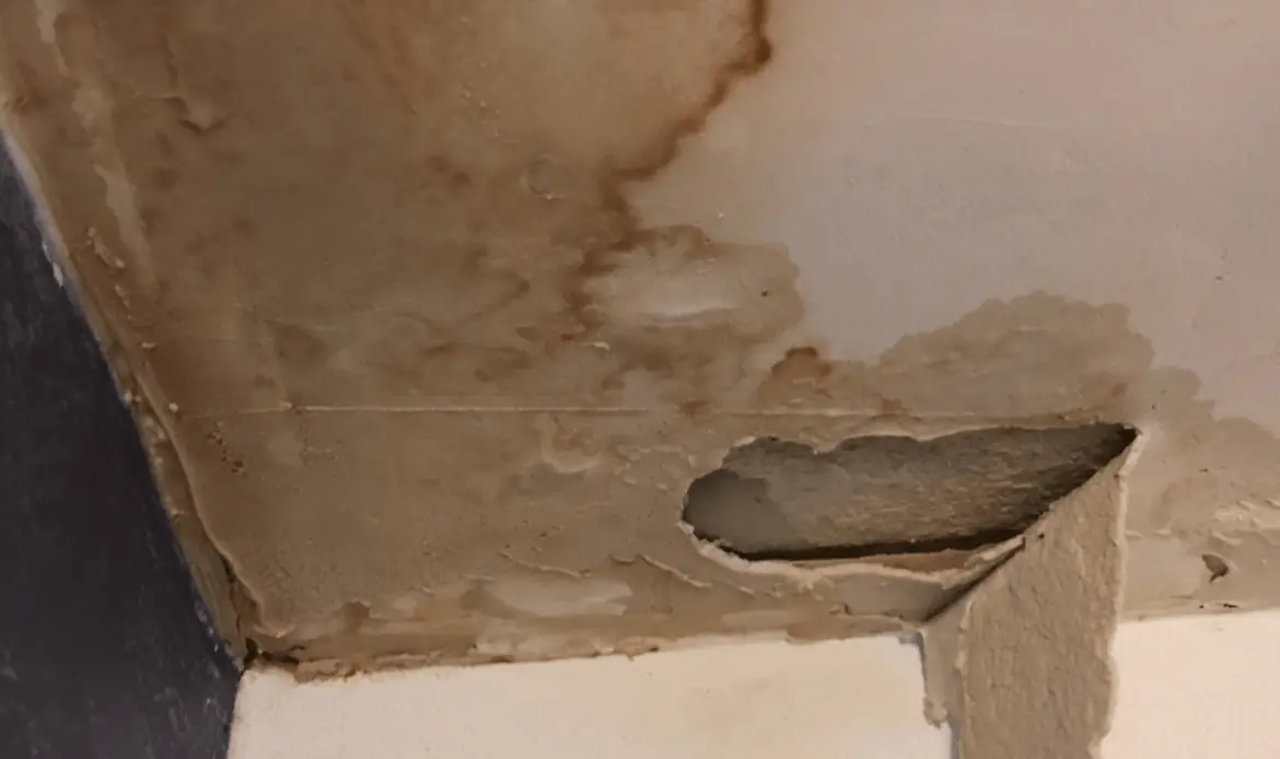 Best Roof Leak Analysis