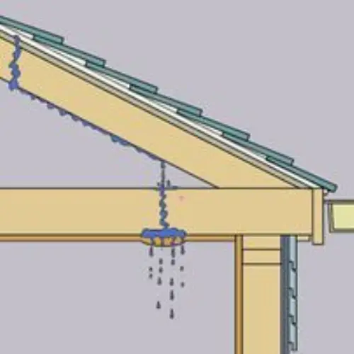 expert Roof Leak Analysis