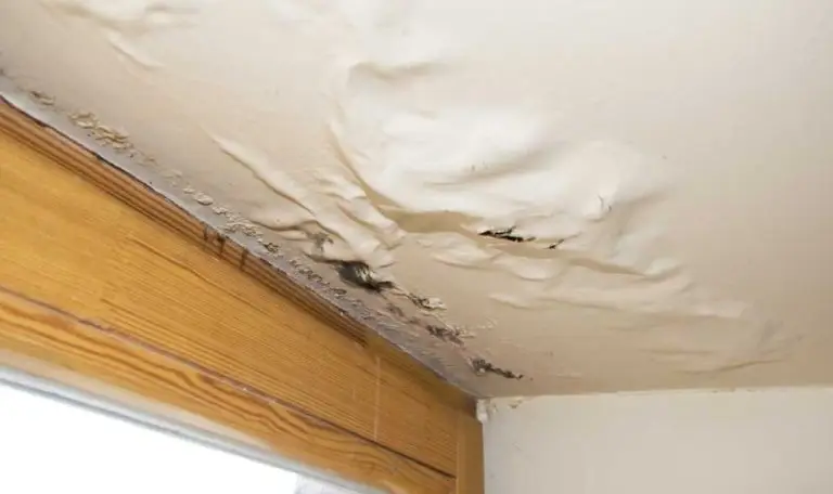 how to fix a leaking roof from the inside (2)