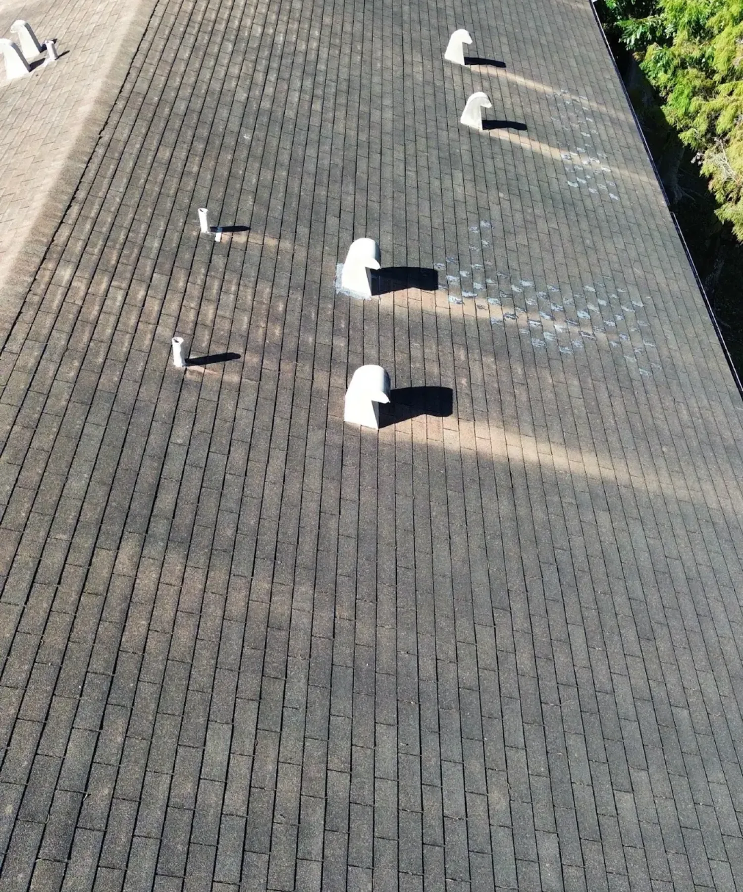 Palm Beach Roof Inspection